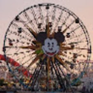 Meet your Posher, Corbin